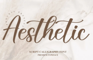 Aestheticfont.com